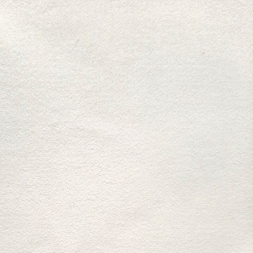 COEA-0010-PFD